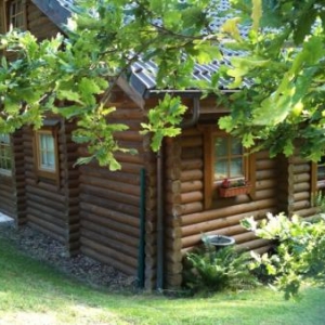 Chalet scandinave dans les ardennes 