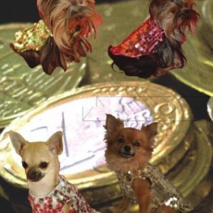 GARDE ROBE PARIS " CREATEUR " GARDE ROBE PARIS " CREATEUR "