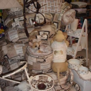 La Saint Valentin du chien gâté !