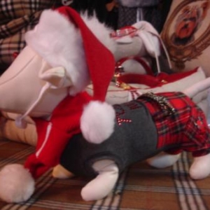 chihuahua habille pour Noel