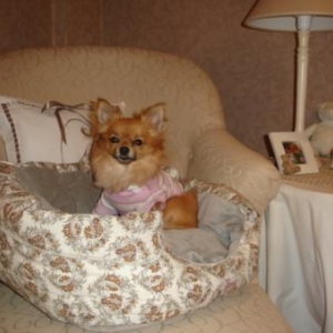 cocoon garde robe paris cocoon garde robe paris