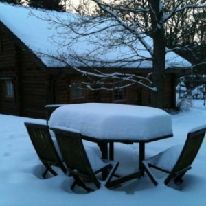 Sous la neige l'hiver 