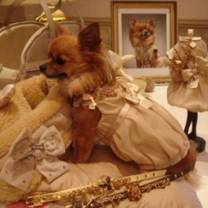 Lola vous presente la robe Haute couture