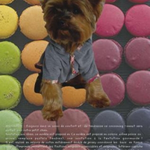 modele macaron modele macaron