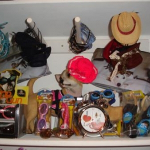 reveil, lunettes etc....