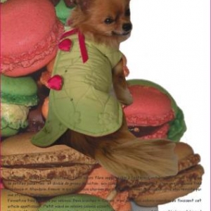 GARDE ROBE PARIS " CREATEUR " GARDE ROBE PARIS " CREATEUR "