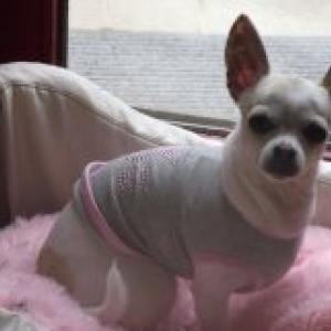 la famille de carine de eghezee