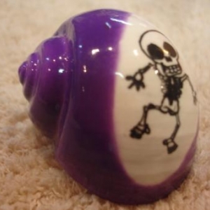 coquille de rechange peinte pour Pagou coquille de rechange peinte pour Pagou