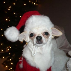 Juicy en maman noel!