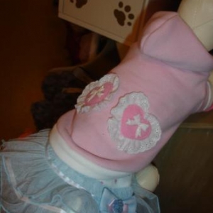 La Saint Valentin du chien gâté !