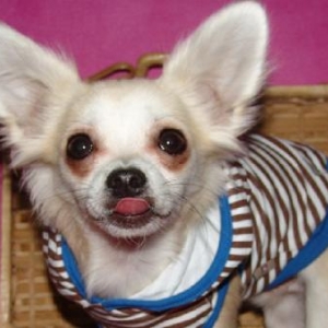 les chichis de nathalie de Ougree