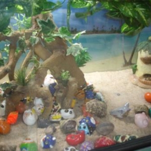 vue d'ensemble de nos bernard l'hermite vue d'ensemble de nos bernard l'hermite