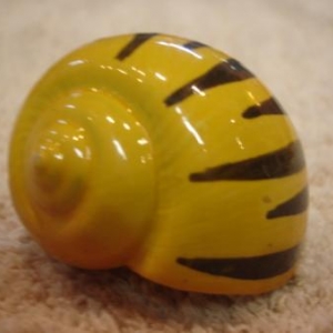 coquille de rechange peinte pour Pagou coquille de rechange peinte pour Pagou