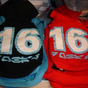 sweets polars 15.95 euros