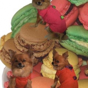 modele kimono modele kimono