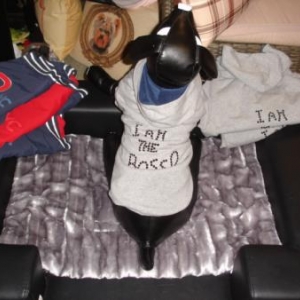 "L'univers animalier" : manteaux d'hiver "collection Wouapy"