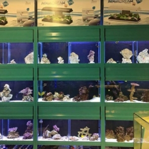 Poissons Exotiques d'eau douce