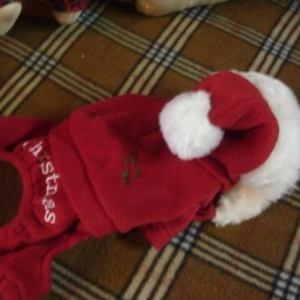 jogging pere noel 19.95 euro puppy angel
