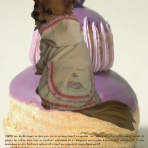 modele chou modele chou