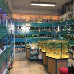 Poissons Exotiques d'eau douce