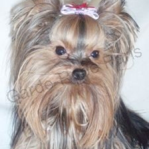 GARDE ROBE PARIS " CREATEUR " GARDE ROBE PARIS " CREATEUR "