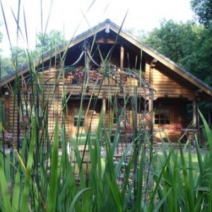 Chalet scandinave dans les ardennes 