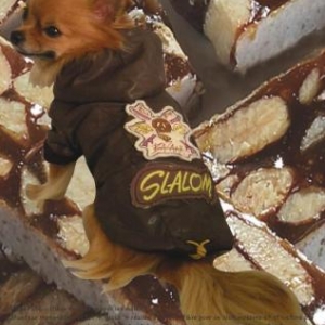 modele reglise modele reglise