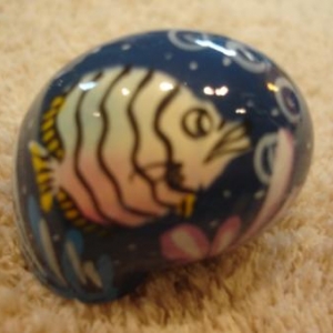 coquille de rechange peinte pour Pagou coquille de rechange peinte pour Pagou