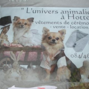 Lily et Noa notre petit couple de Maries