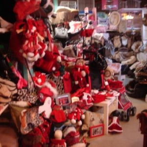 Le Noël du chien gâté !