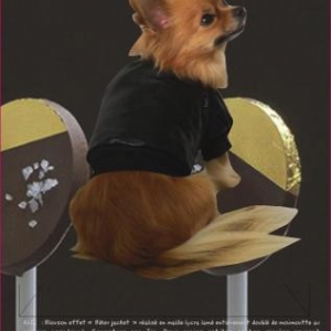 GARDE ROBE PARIS " CREATEUR " GARDE ROBE PARIS " CREATEUR "