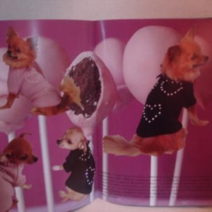 GARDE ROBE PARIS " CREATEUR " GARDE ROBE PARIS " CREATEUR "