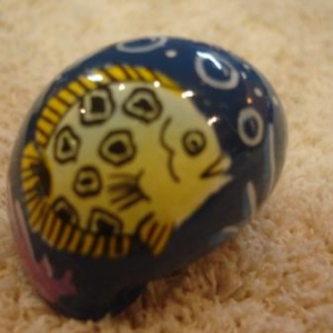 coquille de rechange peinte pour Pagou coquille de rechange peinte pour Pagou