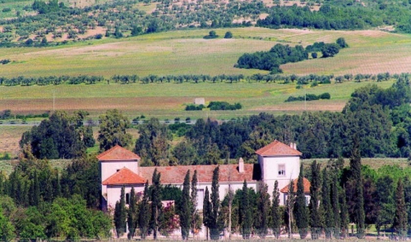 domaine neferis