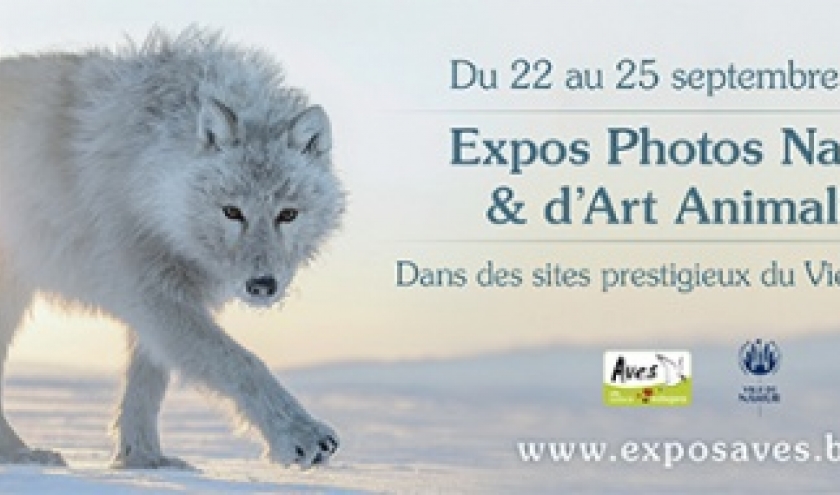  « Photos Nature et Art Animalier », à Namur, du 23 au 25/09