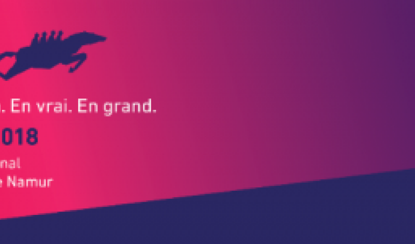 Palmarès du 33ème "FIFF" Palmarès du 33ème "FIFF"