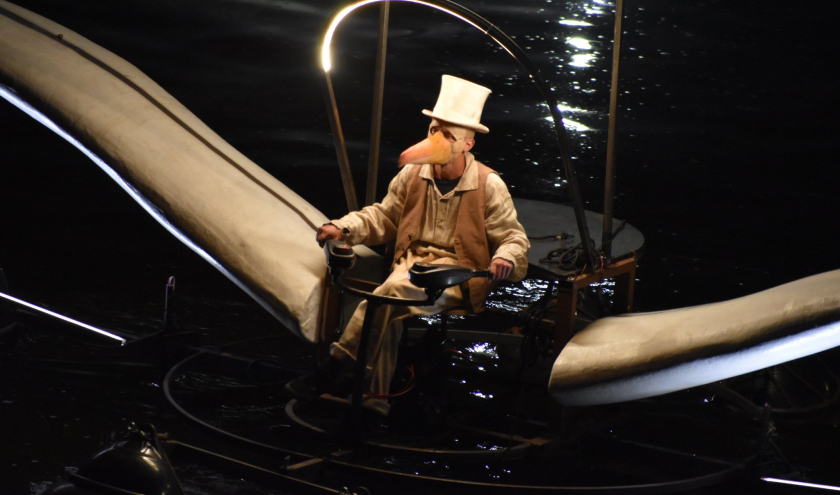 "Les Fous flottants" © Murielle Lecocq