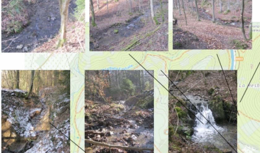 Projet « Saumons en classe » HARZE Projet « Saumons en classe » HARZE