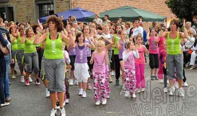 Vielsalm 21 juillet fete des myrtilles - video 02