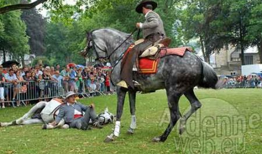 20100721_myrtilles_10