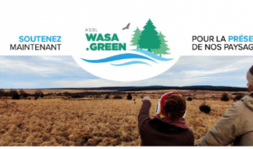 WASA.GREEN. Les petits ruisseaux font les grandes rivieres