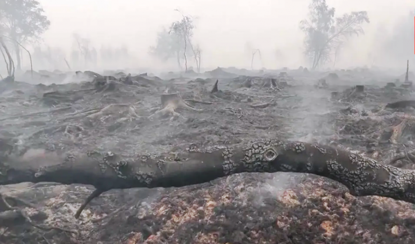 Incendie dans les Hautes Fagnes