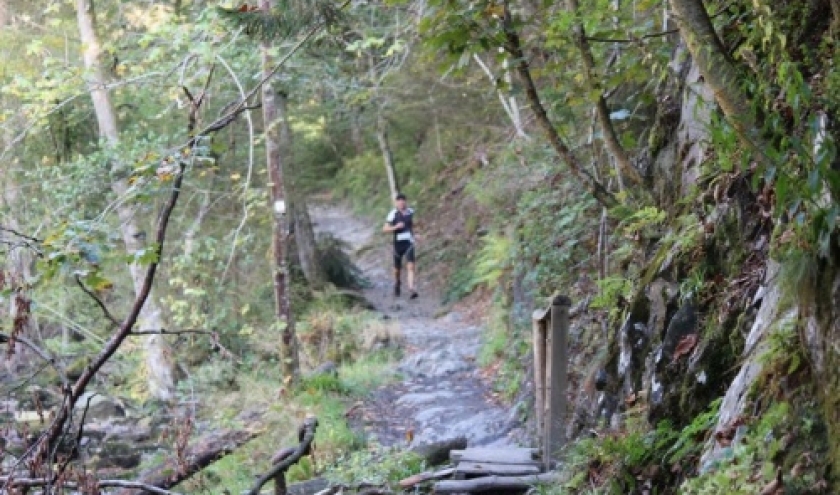 13° édition du Trail des Hautes Fagnes                                