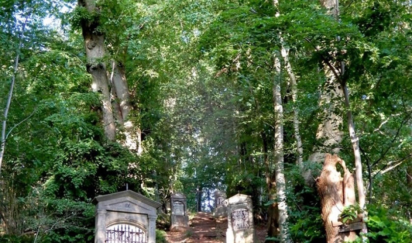 Le sentier du poudingue à Malmedy