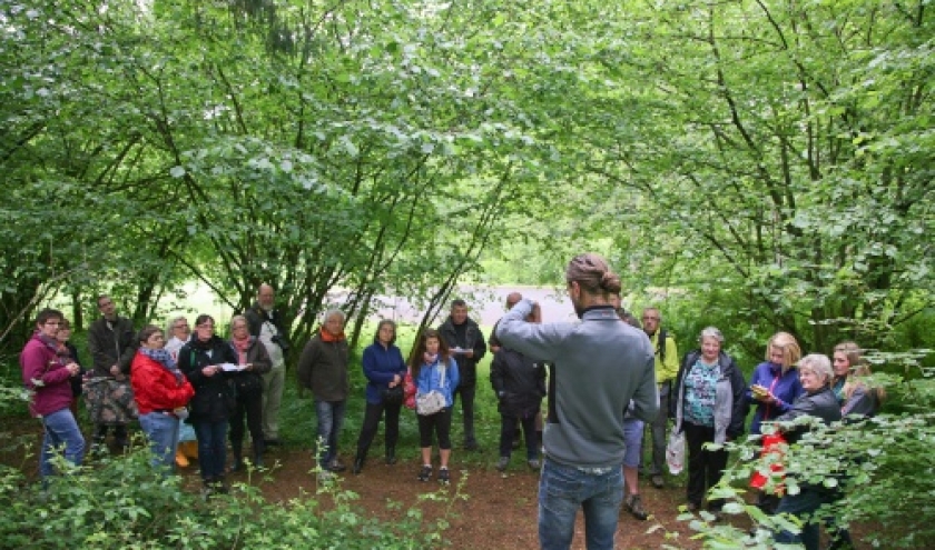 cuisine sauvage et jardinage eco-responsable