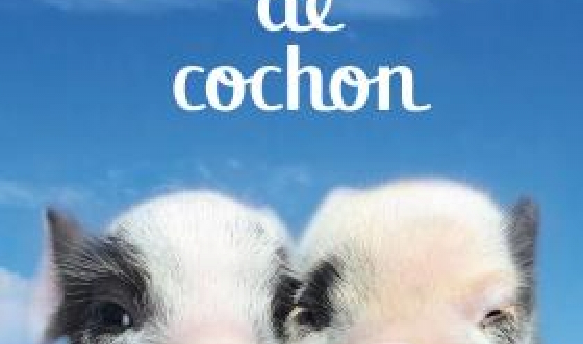 Un amour de cochon de Matt Whyman  Editions JC Lattes.