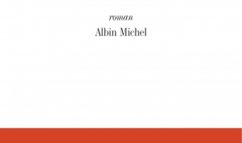 Les  Amants de Joel Schmidt   Editions Albin Michel.