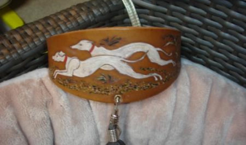 Lévriers - collections spéciales 