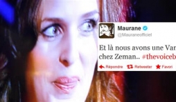 Maurane. L'affaire Zeeman.
