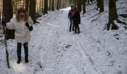 descente vers le pont de Suhet